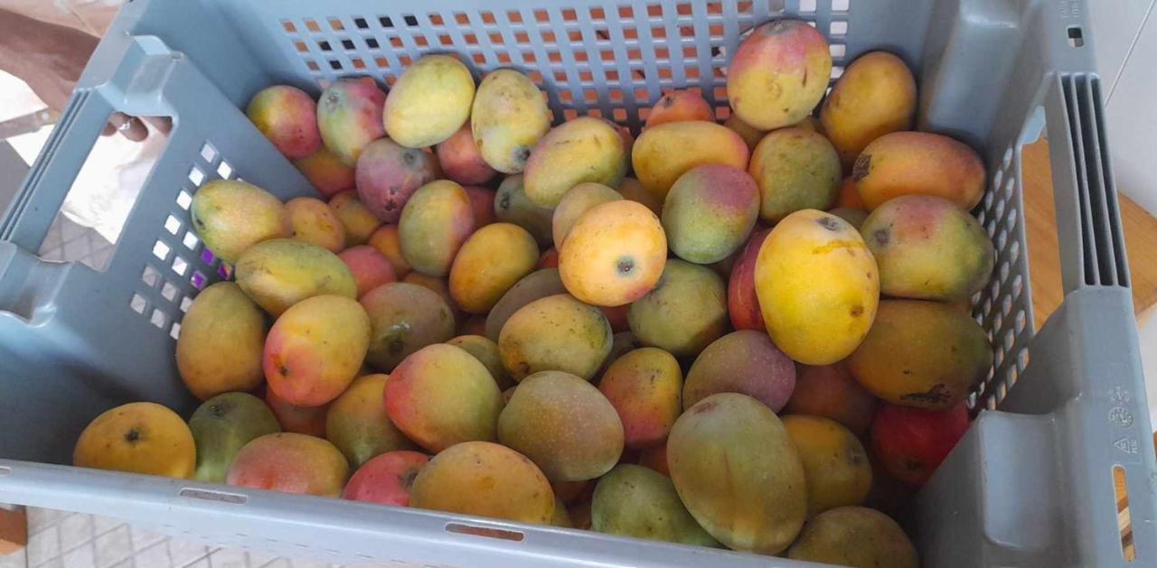 Assomada Splanada Poilon酒店 外观 照片